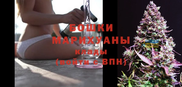 амф Кулебаки